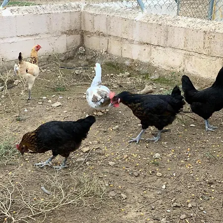 Rural Sierra Hueznar El Pedroso